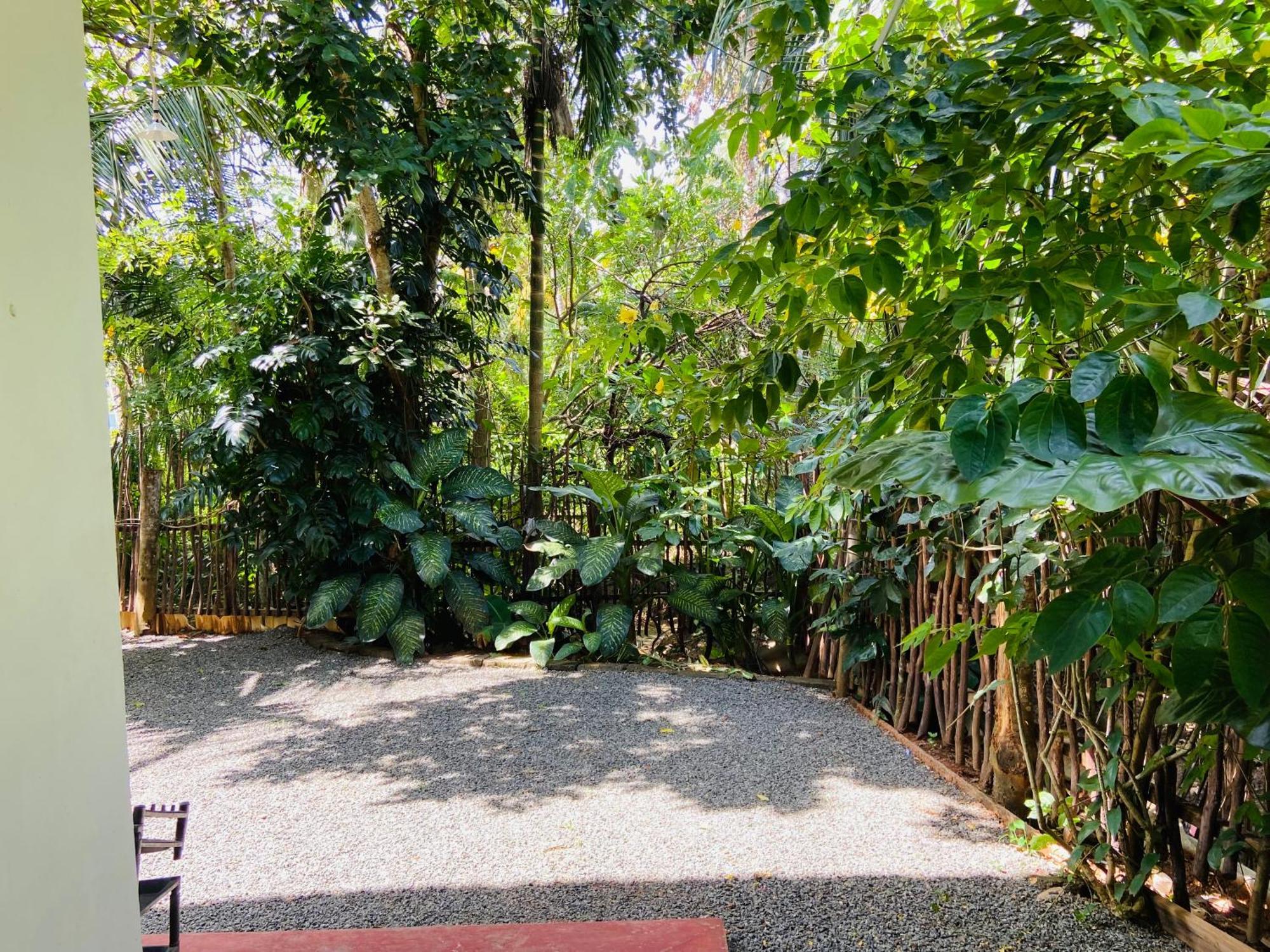 Leo Homestay Dikwella Εξωτερικό φωτογραφία