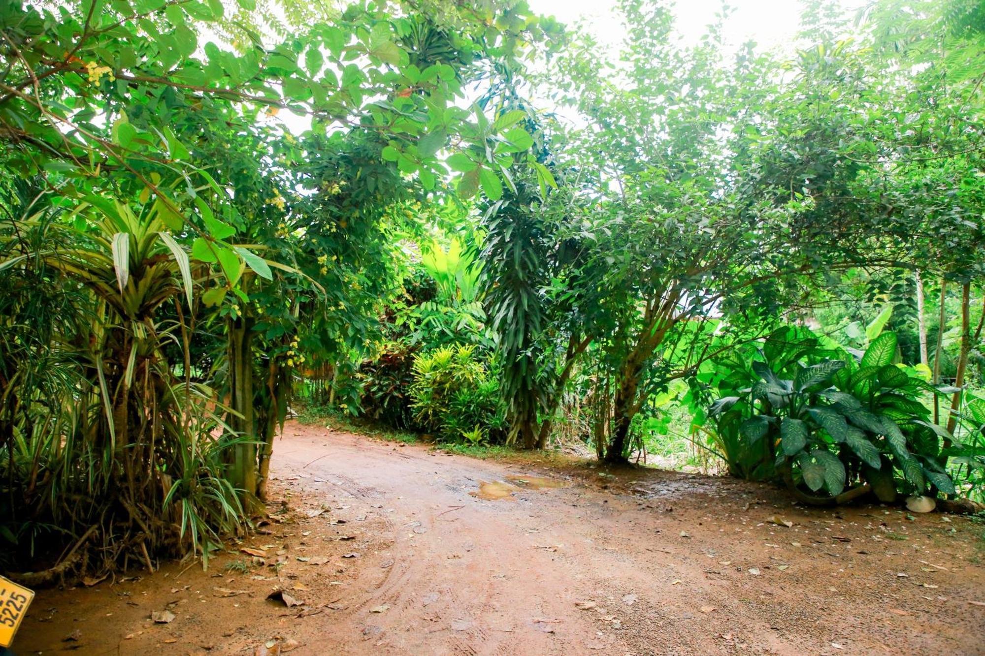 Leo Homestay Dikwella Εξωτερικό φωτογραφία