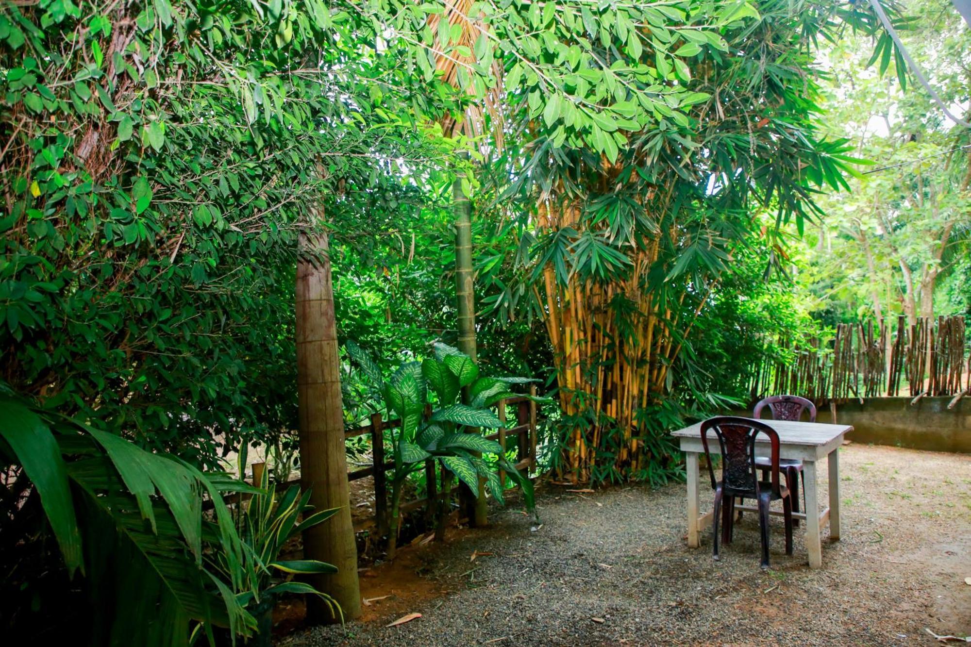 Leo Homestay Dikwella Εξωτερικό φωτογραφία